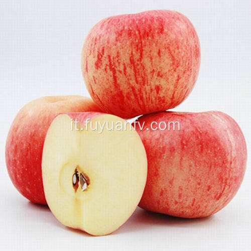 New Crop Fresh Cheap Qinguan apple (64-198)